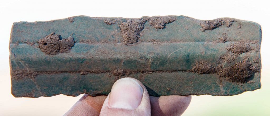 Det store Faurskov fragment