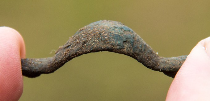 Ligearmet fibel